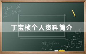 丁宝桢个人资料简介