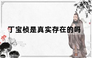 丁宝桢是真实存在的吗？