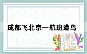 成都飞北京一航班遭鸟击返航 背后真相令人震惊