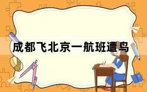成都飞北京一航班遭鸟击返航 背后真相令人震惊
