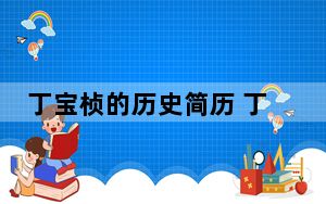 丁宝桢的历史简历 丁宝桢真实历史故事改编的嘛？