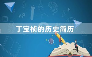 丁宝桢的历史简历