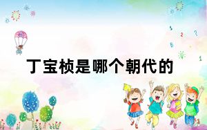 丁宝桢是哪个朝代的