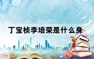 丁宝桢李培荣是什么身份