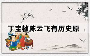 丁宝桢陈云飞有历史原型吗