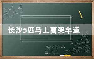 长沙5匹马上高架车道狂奔 这到底是怎么回事？