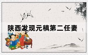 陕西发现元稹第二任妻子裴淑墓 背后真相实在令人震惊
