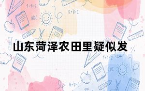 山东菏泽农田里疑似发现美洲犰狳 这到底是怎么回事？