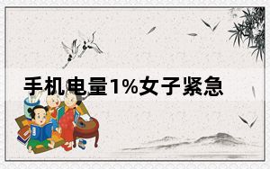手机电量1%女子紧急求助110 背后真相实在令人震惊 背后的真相让人始料未及