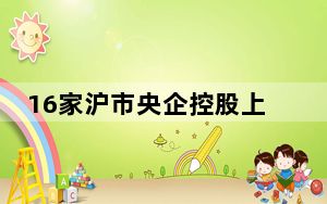16家沪市央企控股上市公司路演 背后的真相让人始料未及