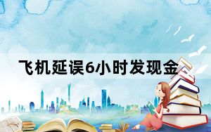 飞机延误6小时发现金 乘客:消气了  背后真相实在令人感到惊愕