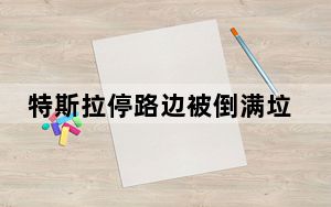 特斯拉停路边被倒满垃圾 背后真相实在令人震惊 背后真相让人感到惊讶