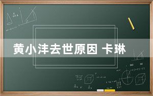 黄小沣去世原因 卡琳娜老公仲尼黄小沣死亡原因曝光 背后的真相让人始料未及
