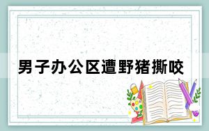 男子办公区遭野猪撕咬 缝100多针 这到底是怎么回事？