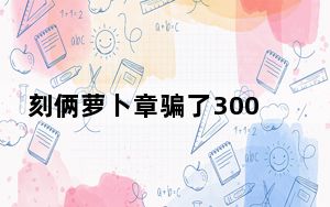 刻俩萝卜章骗了300亿 背后真相实在让人惊愕