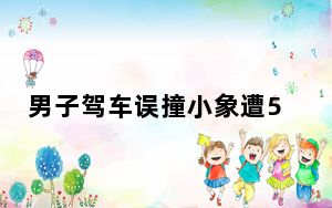 男子驾车误撞小象遭5头大象围攻 内幕曝光简直太意外了