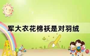 军大衣花棉袄是对羽绒服刺客的反击 背后真相实在令人震惊 背后真相令人震惊