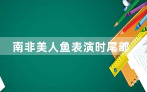 南非美人鱼表演时尾部被卡住 背后真相令人震惊