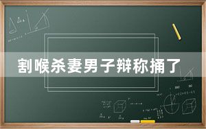 割喉杀妻男子辩称捅了几刀:很轻的 内幕曝光简直太恐怖了 内幕曝光简直太意外了