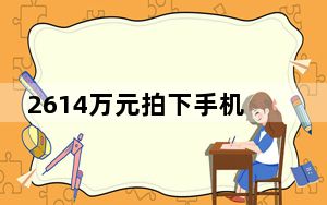 2614万元拍下手机号买家称拍错了 内幕曝光简直太意外了