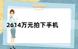 2614万元拍下手机号买家称拍错了 背后真相实在让人惊愕
