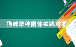猫咪犟种附体欲跳对面房顶连摔3次 内幕曝光实在让人心疼 背后的真相让人始料未及