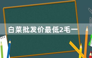 白菜批发价最低2毛一斤 官媒发声 原因竟是这样太无奈了 背后真相让人感到惊讶