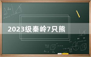 2023级秦岭7只熊猫幼仔集体报到 实在太可爱了 内幕曝光简直太意外了