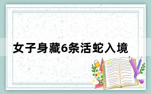 女子身藏6条活蛇入境被查 背后真相令人震惊