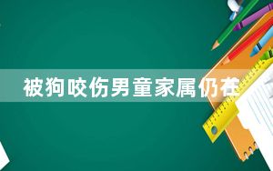 被狗咬伤男童家属仍在找狗主人 背后的真相让人始料未及