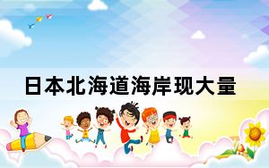 日本北海道海岸现大量沙丁鱼尸体 这到底是怎么回事？
