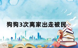 狗狗3次离家出走被民警找回 背后真相实在令人震惊 背后的真相让人始料未及