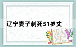 辽宁妻子刺死51岁丈夫 原因竟是这样太崩溃了 背后真相让人感到惊讶