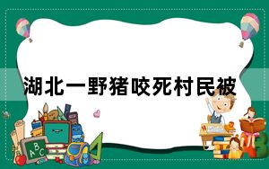 湖北一野猪咬死村民被民警击毙 背后真相实在令人震惊 背后真相实在让人惊愕