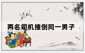 两名司机撞倒同一男子仅隔14秒 背后真相令人震惊