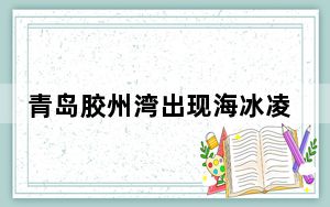 青岛胶州湾出现海冰凌景观 内幕曝光简直太意外了