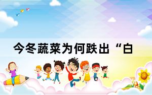 今冬蔬菜为何跌出“白菜价”? 内幕曝光简直太意外了