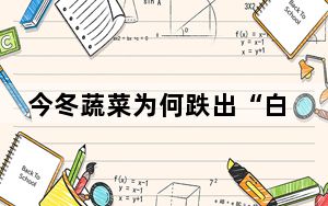 今冬蔬菜为何跌出“白菜价”? 这到底是怎么回事？