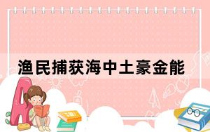 渔民捕获海中土豪金能卖二三万 为什么这么贵这么值钱？ 背后的真相让人始料未及