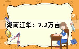 湖南江华：7.2万亩茶园迎“明前茶”采摘高峰