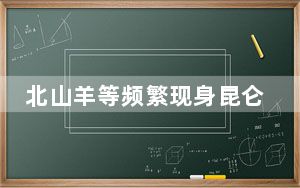 北山羊等频繁现身昆仑山中段杜瓦保护区