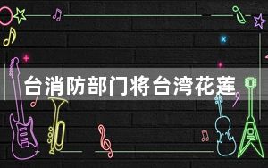 台消防部门将台湾花莲县海域地震遇难人数修正为9人