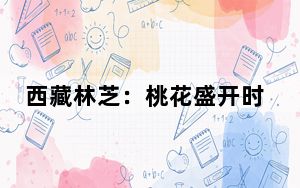 西藏林芝：桃花盛开时，防火宣传在行动