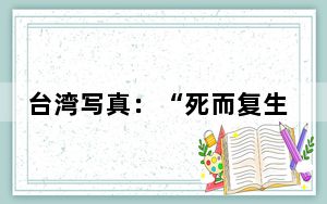 台湾写真：“死而复生”的太鲁阁山间隧道救援