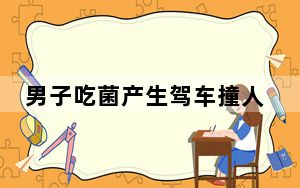 男子吃菌产生驾车撞人幻觉后自首  这到底是怎么回事？
