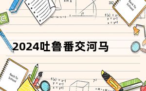 2024吐鲁番交河马拉松开赛 两千余名国内外选手畅跑火洲