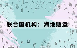 联合国机构：海地贩运的武器大部分来自美国