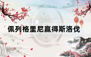 佩列格里尼赢得斯洛伐克总统选举