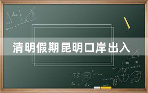 清明假期昆明口岸出入境旅客2.2万人次 同比增长306%