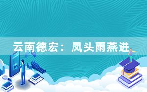 云南德宏：凤头雨燕进入孵化期 筑起“迷你鸟巢”